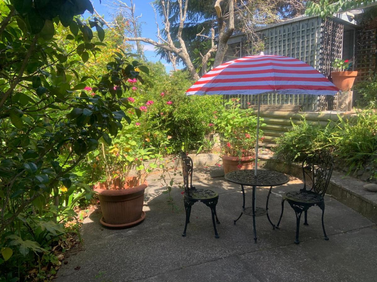 Garden Studio Διαμέρισμα Havelock North Εξωτερικό φωτογραφία